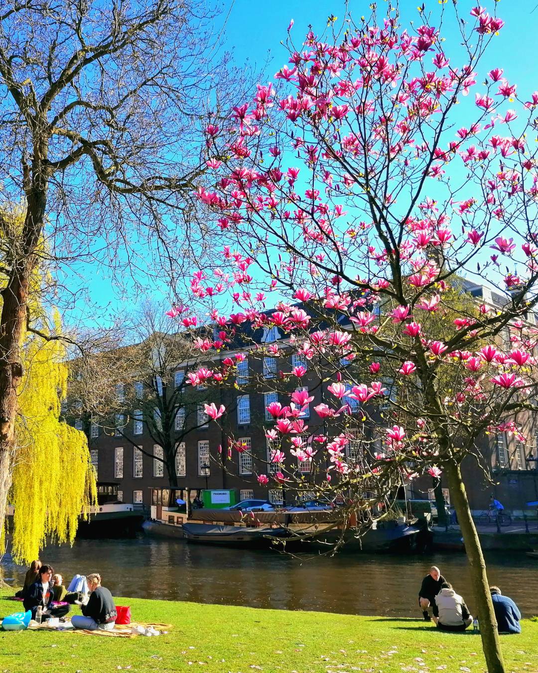 Tiempo en Ámsterdam