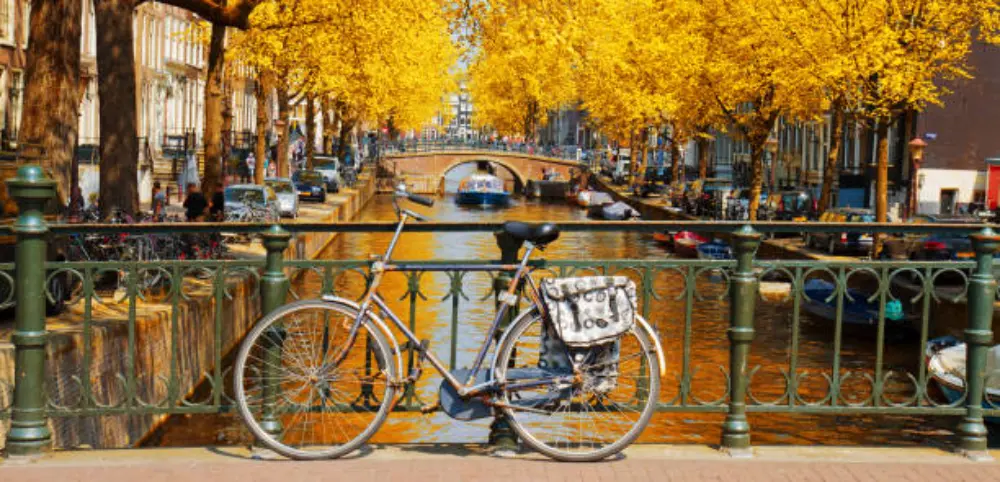 Tour en bicicleta por Ámsterdam