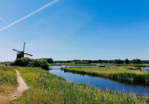 Molinos países bajos tours por Ámsterdam