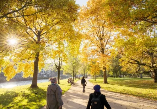 Tour en Amsterdam Tour en bicicleta (1)