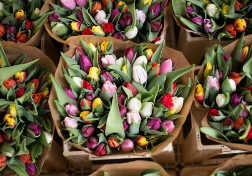 mercado de las flores tour historico amsterdam