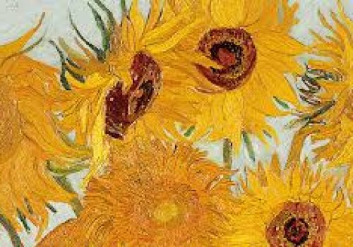 visita guiada museo Vincent van Gogh (2)