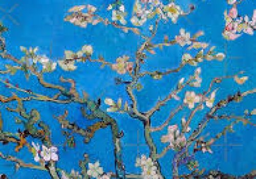 visita guiada museo Vincent van Gogh (4)
